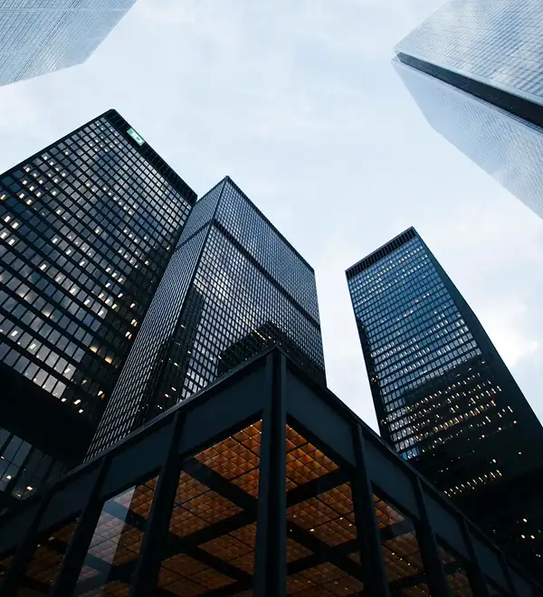 BIM software development